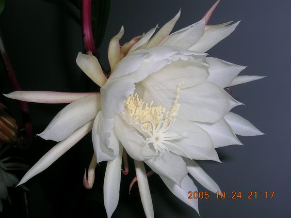 ɱ�ּҵġ�ׯ�ڵء�����ջ�(꼻���Ҫ�����ˣ�����ͼƬ10-22)