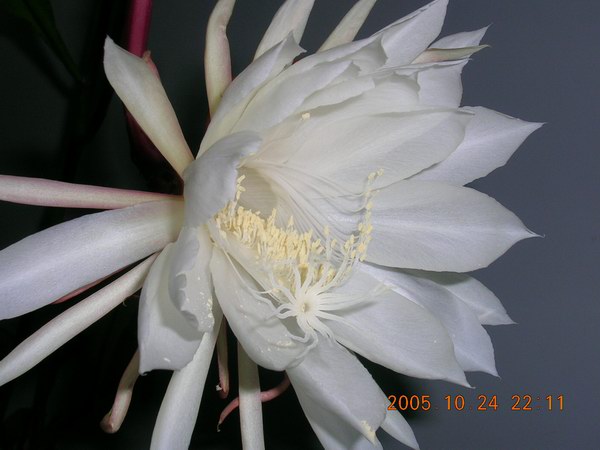 ɱ�ּҵġ�ׯ�ڵء�����ջ�(꼻���Ҫ�����ˣ�����ͼƬ10-22)