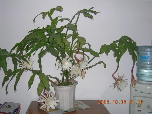 ɱ�ּҵġ�ׯ�ڵء�����ջ�(꼻�����2�䣬����ͼƬ10-25)