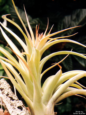 [����]��ؿ����������