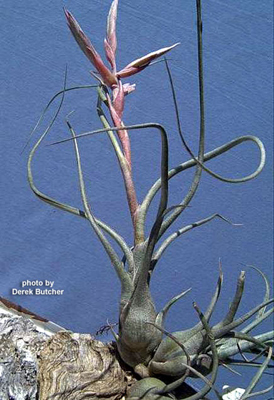 [����]��ؿ����������