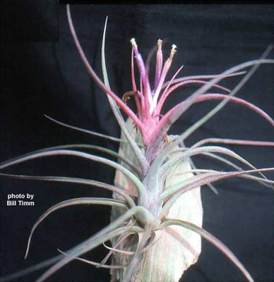 [����]��ؿ����������