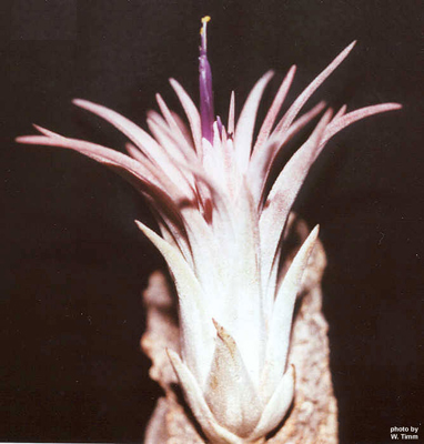 [����]��ؿ����������