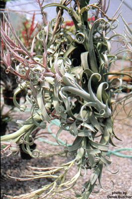 [����]��ؿ����������