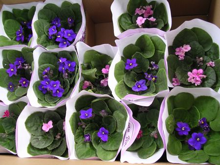 [����]���ڷ������Ź�����P5��������������˵��Ŷ����