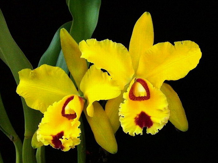 �����Ŀ�����--------��ѡͼƬ   �� No.14 ����!