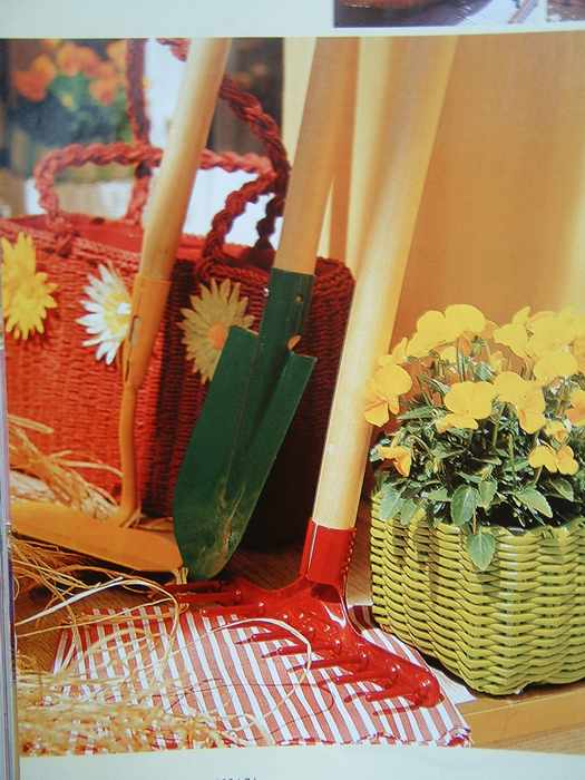 ��һ�ƣ���һ��������Ŀ��������˳�