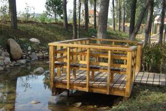 ��һ�ƣ���һ��������Ŀ��������˳�