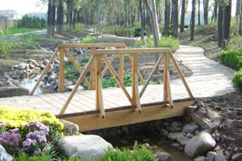 ��һ�ƣ���һ��������Ŀ��������˳�