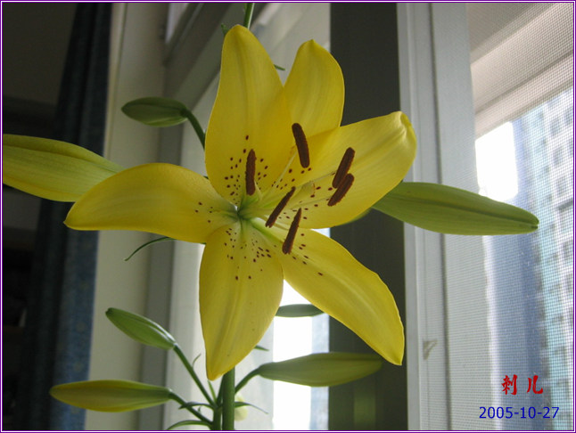 ˯�ѵ�����10��19�ո��£�