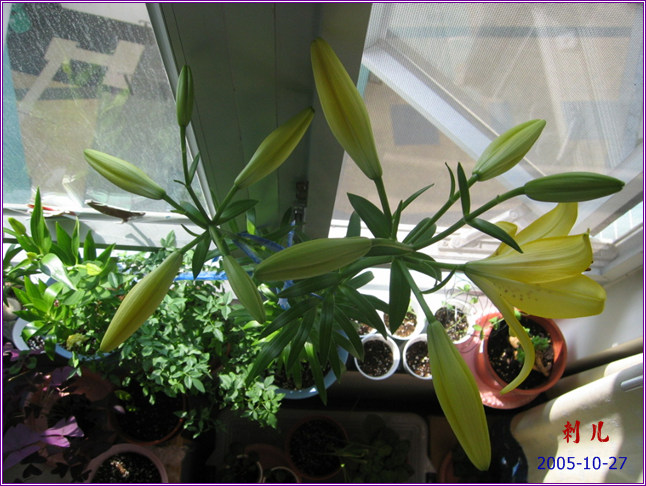 ˯�ѵ�����10��19�ո��£�