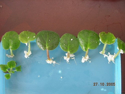 ��ѻ����ˮһ����uug02246�ٽ�����