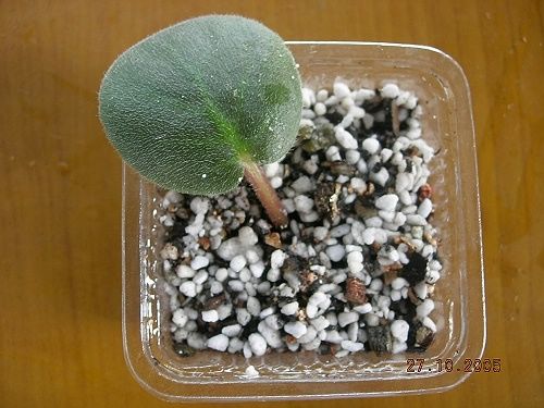 ��ѻ����ˮһ����uug02246�ٽ�����