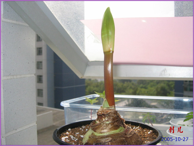 ˯�ѵ�����10��19�ո��£�