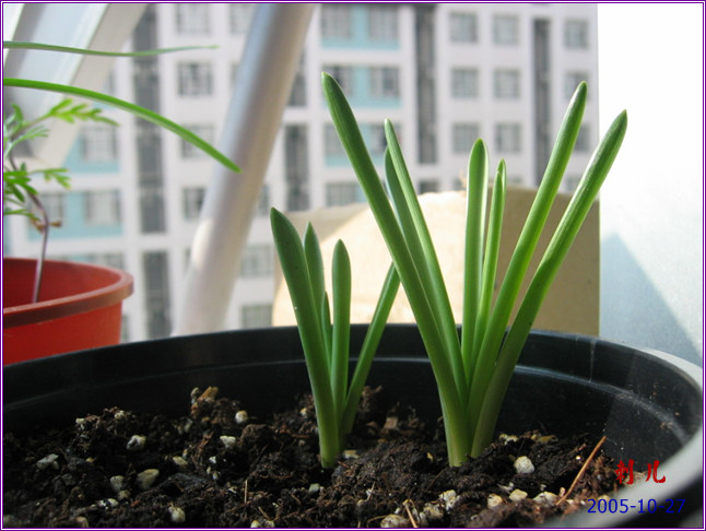 ˯�ѵ�����10��19�ո��£�