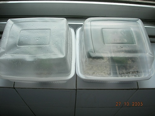 ��ѻ����ˮһ����uug02246�ٽ�����