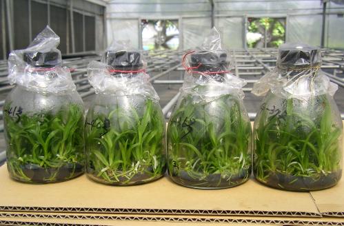 [��ˮ]�����������ʲô��������