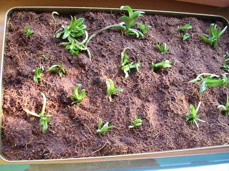 [��ˮ]�����������ʲô��������