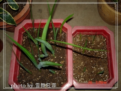 ��С����ȫ��¼��9.21�ո��£�