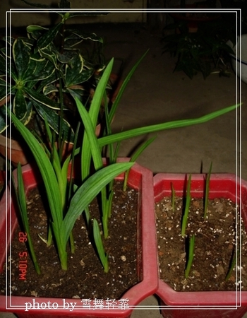 ��С����ȫ��¼��9.21�ո��£�