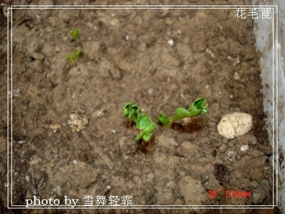 צ�ӷ�ѿ��g��������~����