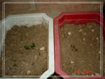 צ�ӷ�ѿ��g��������~����