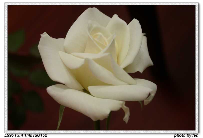 �ҵİ��¼�