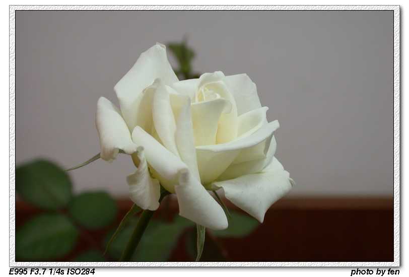 �ҵİ��¼�