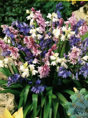 [ת��]����ɫɫ�����ѷ�����