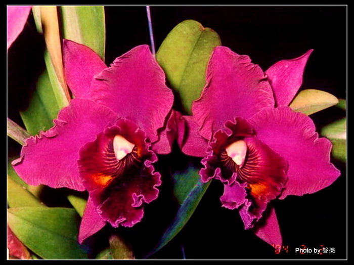 �����Ŀ�����--------��ѡͼƬ   �� No.14 ����!