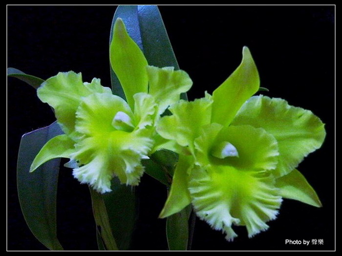 �����Ŀ�����--------��ѡͼƬ   �� No.14 ����!