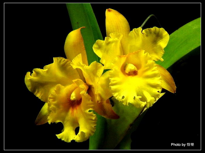 �����Ŀ�����--------��ѡͼƬ   �� No.14 ����!