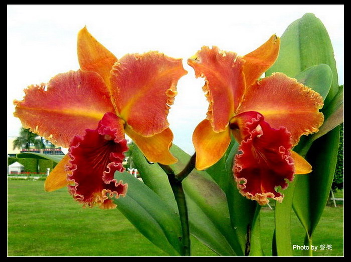 �����Ŀ�����--------��ѡͼƬ   �� No.14 ����!