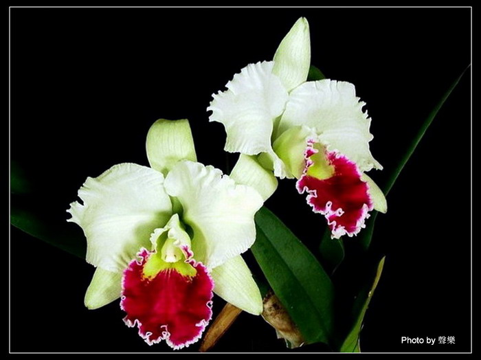 �����Ŀ�����--------��ѡͼƬ   �� No.14 ����!