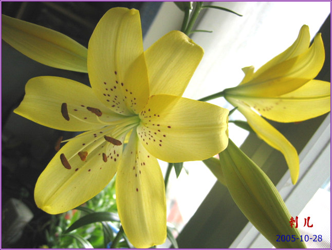 ˯�ѵ�����P6���£�