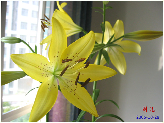 ˯�ѵ�����P6���£�