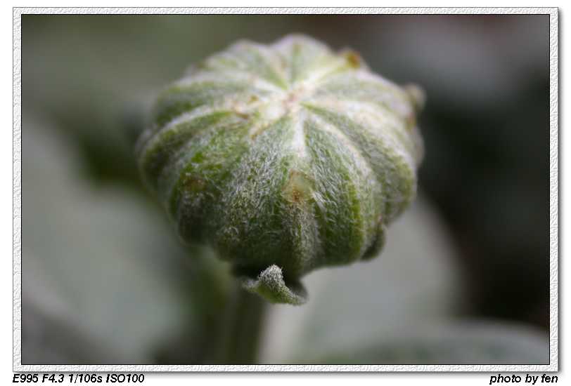 �ջ�--����