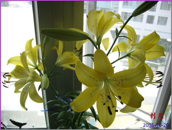 ˯�ѵ�����P6���£�