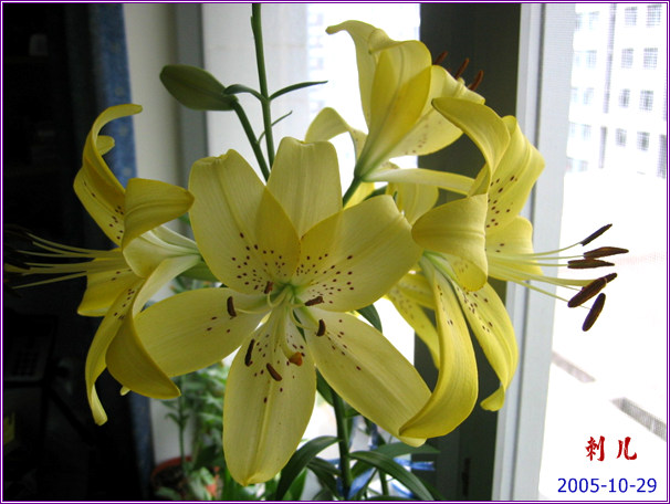 ˯�ѵ�����P6���£�