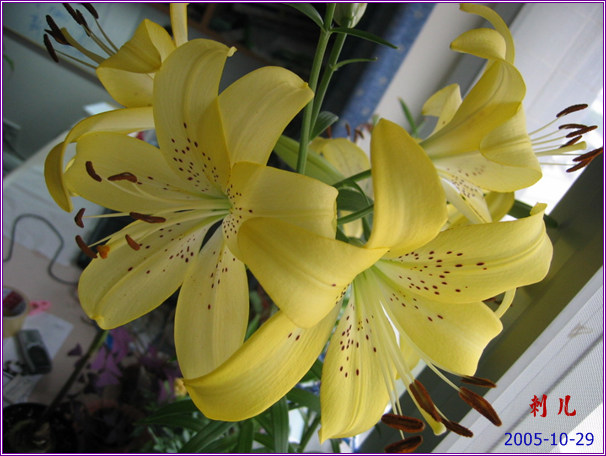 ˯�ѵ�����P6���£�