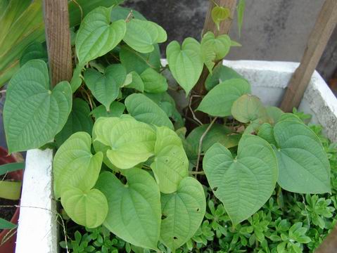 �˵��ﲻС���ڵ��ģ���ҿ�����ʲô��