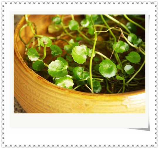 ���¼���,�����Ŷ