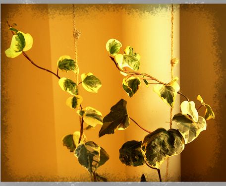 ���¼���,�����Ŷ