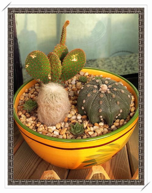 ���¼���,�����Ŷ