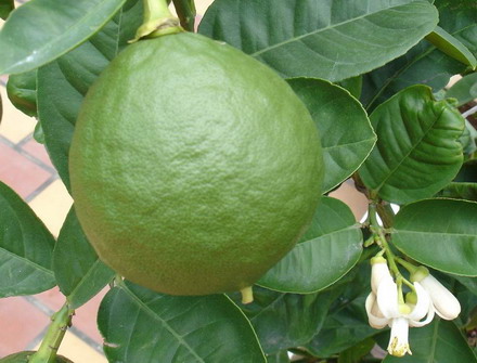 �²¿�����ʲôˮ���Ļ�������