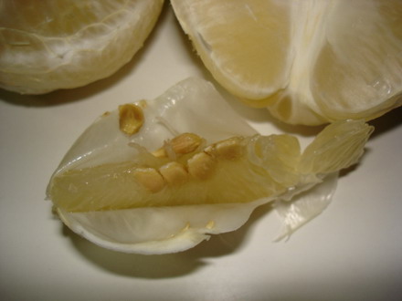 �²¿�����ʲôˮ���Ļ�������