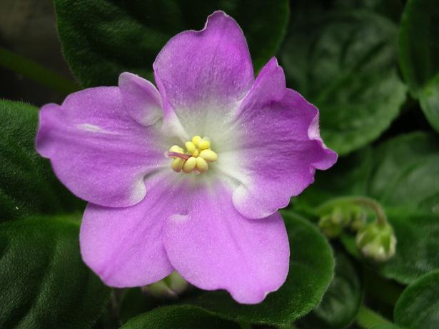 [��ˮ]��������ˮ��