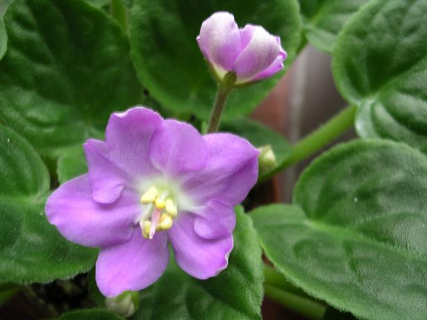 [��ˮ]��������ˮ��