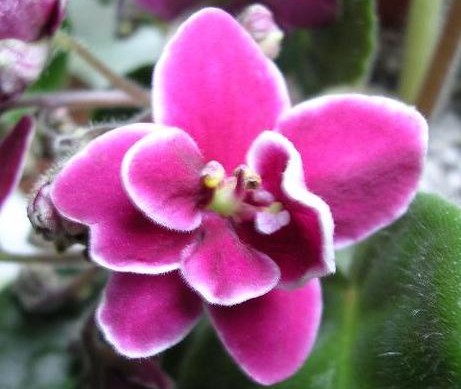 [��ˮ]��������ˮ��