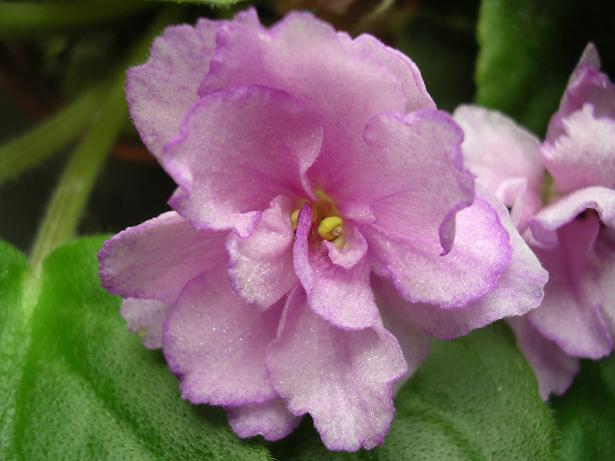 [��ˮ]��������ˮ��